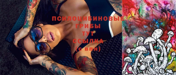 дурь Алексеевка