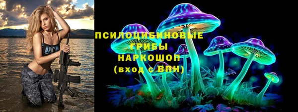 PSILOCYBIN Покровск