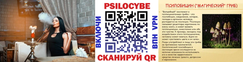 Псилоцибиновые грибы Psilocybe  закладки  Бирюсинск 